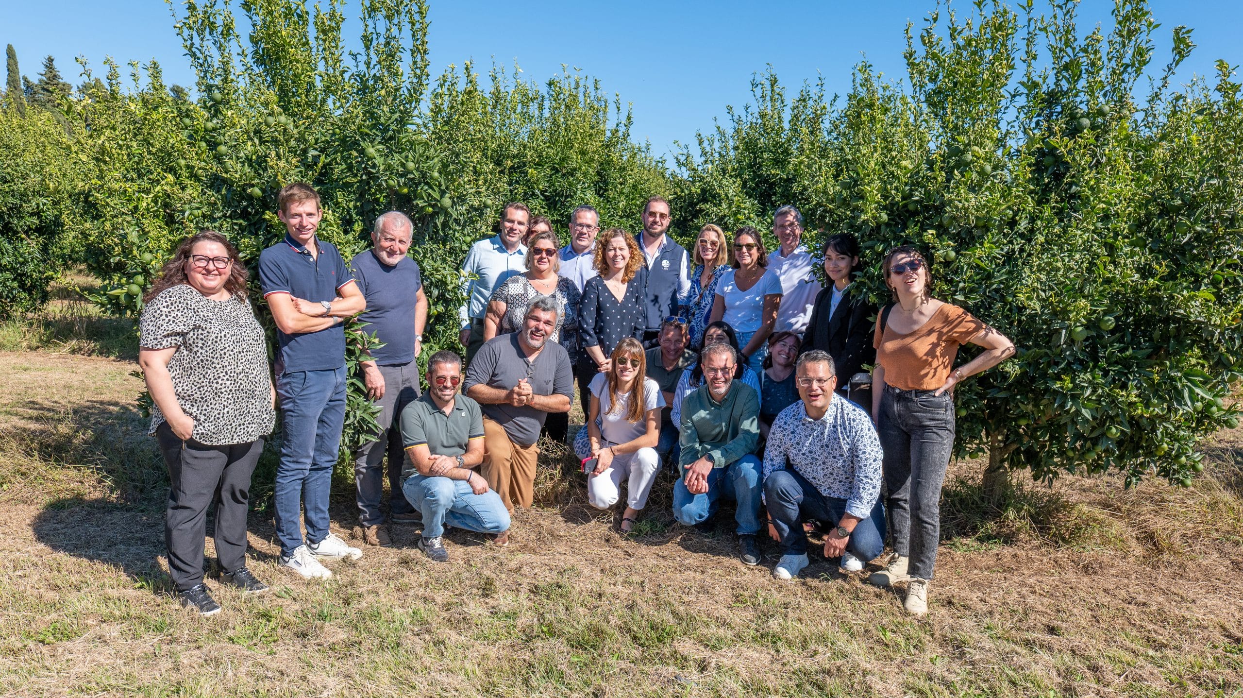 LSDH s’engage pour la filière clémentine de Corse aux côtés de Système U et des producteurs corses